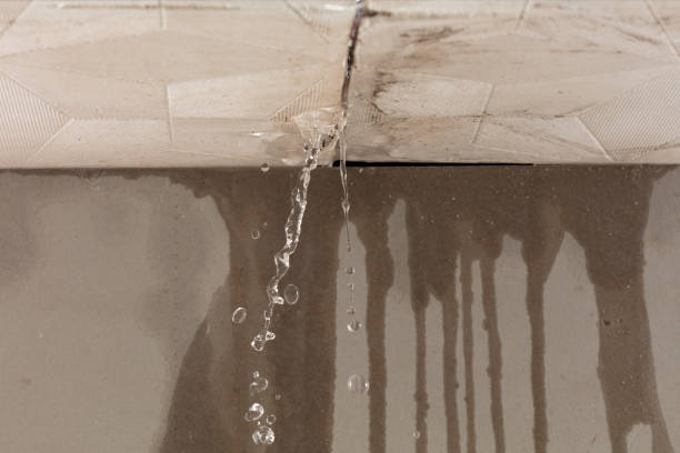 Professional Burst Pipe Cleanup technician working in Canton, IL